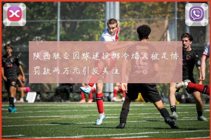 陕西联合因球迷投掷冷焰火被足协罚款两万元引发关注